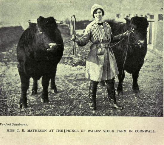 A Woman Working as a Farm Hand During World War 1