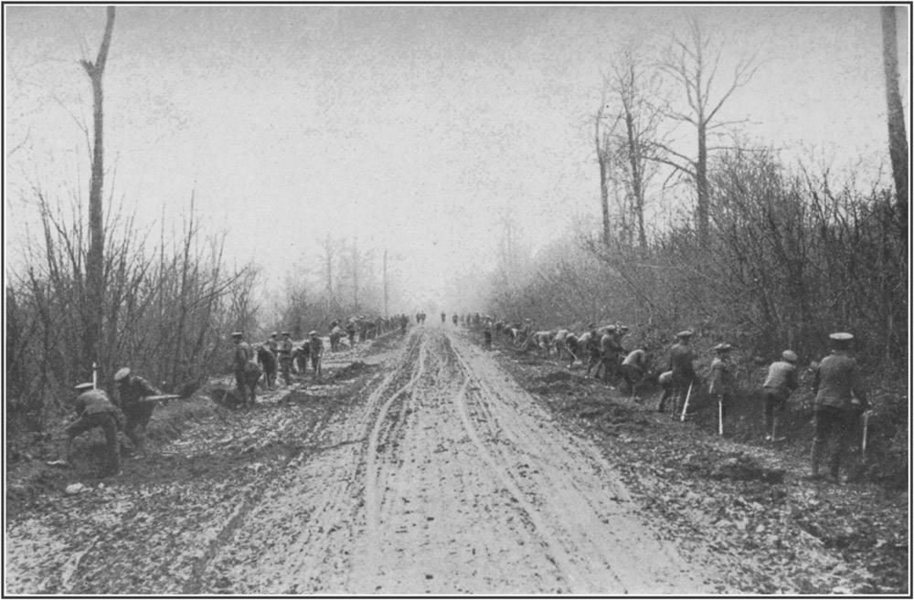 The Road up the Ancre Valley through Aveluy WoodToList
