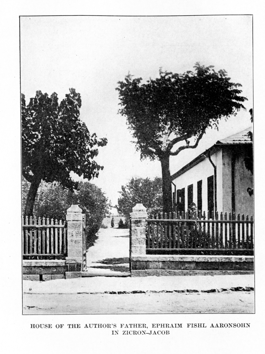 HOUSE OF THE AUTHOR'S FATHER, EPHRAIM FISHL AARONSOHN, IN ZICRON-JACOB]