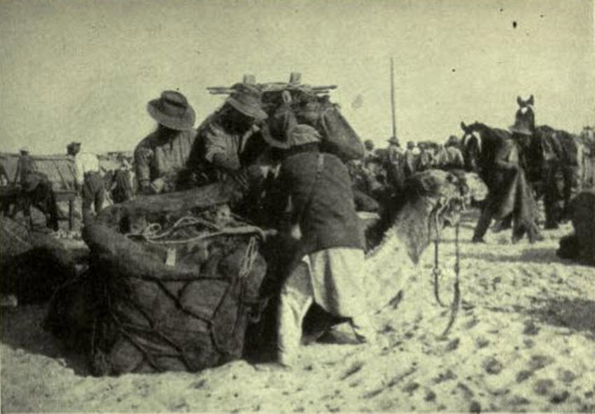 War in the Middle East: British Troops Organizing a Camel Caravan