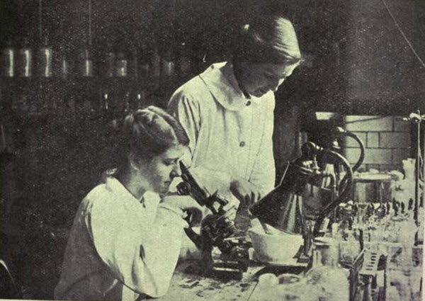 Women Working in Hospitals During World War 1